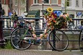 Du lịch Amsterdam, những chiếc giỏ xe chở đầy trải nghiệm