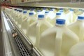 An toàn thực phẩm: Bảo quản và pha sữa đúng cách tránh vi khuẩn xâm nhập gây ngộ độc cho trẻ