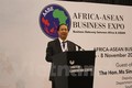 首届东盟非洲贸易博览会在南非举行