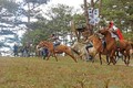 Đà Lạt: Độc đáo đua ngựa không yên trên đồi cỏ hồng