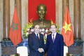 越南国家主席陈大光会见摩洛哥众议院议长哈比博·马勒克