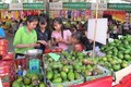 Nhiều triển vọng với xuất khẩu trái cây Việt Nam (Bài 2)