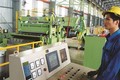2017年胡志明市工业生产指数和出口额一律完成既定目标