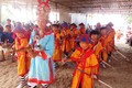 Quảng Nam: Sôi động lễ hội cầu ngư