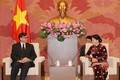 Chủ tịch Quốc hội Nguyễn Thị Kim Ngân tiếp Đại sứ Nhật Bản và Đại sứ Thái Lan tại Việt Nam