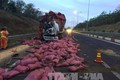 Tai nạn giao thông trên cao tốc Thành phố Hồ Chí Minh - Long Thành – Dầu Giây làm hai người bị thương