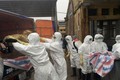 河内市举行人感染甲型H7N9禽流感防控演练