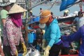 Ngư dân Quảng Trị đánh bắt được nhiều cá giá trị lớn