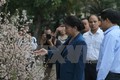 越南国会主席阮氏金银参观日本樱花展