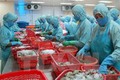 越南水产业面向提高虾出口额的目标