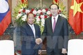 越南国家主席陈大光会见老挝安全部部长
