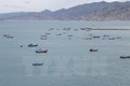 文莱警察扣押一艘越南渔船