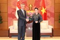 越南国会主席阮氏金银会见新加坡总理李显龙