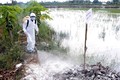 越南严防亚型H7N9禽流感疫情及各种人感染禽流感疫情传入越南