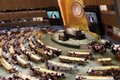 越南代表参加联合国禁止核武器条约谈判 呼吁各国履行核裁军承诺