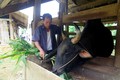Vốn vay ưu đãi của Ngân hàng chính sách xã hội Tuyên Quang “Phao cứu sinh” cho người nghèo