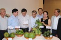 Hậu Giang khuyến khích doanh nghiệp Hà Nội đầu tư vào nông nghiệp, nông thôn