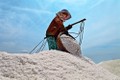 Quản lý sản xuất và kinh doanh đảm bảo chất lượng muối