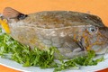 Về Bình Thuận ăn cá Bò Hòm nướng