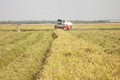 Long An thực hiện tốt khuyến nông để nông dân có cuộc sống tốt hơn