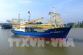 Nhiều chủ tàu vỏ thép ở Bình Định có nguy cơ bị phá sản