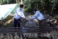 Xuất hiện ổ dịch cúm gia cầm tại Cao Bằng