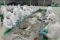 越南拟定2025年前虾类养殖业发展计划