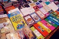 2017年第二次欧洲文学图书日在胡志明市图书街启动