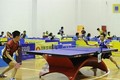第35届《人民报》全国乒乓球锦标赛即将在海阳省举行