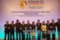 东盟高官会在菲律宾举行讨论落实第30届东盟峰会共识的措施