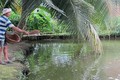 Nông dân Nguyễn Thành Tân giàu nhờ cá tai tượng