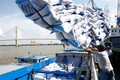 2017年菲律宾将进口80.5万吨大米