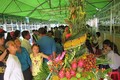 Cần Thơ tưng bừng khai mạc Ngày hội vườn trái cây Tân Lộc năm 2017