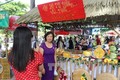 Festival biển Nha Trang - Khánh Hòa 2017: Nhiều hoạt động xã hội, bảo vệ môi trường