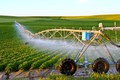 Đẩy mạnh ứng dụng khoa học công nghệ vào sản xuất nông nghiệp (Bài 1)