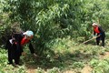 Già làng Hồ Sỹ Thi đi đầu trong mặt trận chống đói nghèo