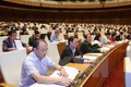 越南《航海法》和《财产拍卖法》将于7月1日起生效