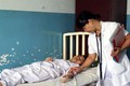 Thành phố Hồ Chí Minh ứng phó với việc gia tăng bệnh nhân sốt xuất huyết