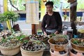 Du lịch ẩm thực ở Thành phố Hồ Chí Minh - từ tiềm năng đến thế mạnh
