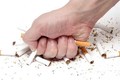 Cai thuốc lá dễ ợt với bài thuốc rẻ tiền dễ kiếm quanh nhà