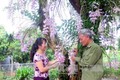 Vườn hoa lan độc nhất vô nhị ở Tuyên Quang