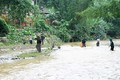 越南北部地区各省洪水灾害致12人死亡 经济损失达200多亿越盾
