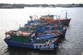 Quảng Trị phát triển mạnh đội tàu khai thác hải sản xa bờ