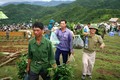 Hỗ trợ cựu chiến binh vươn lên làm kinh tế ở Than Uyên