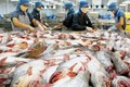 Cá tra Việt Nam đạt tiêu chuẩn hàng đầu trong siêu thị AEON ở Nhật
