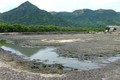 Diện tích và sản lượng tôm nuôi ở Khánh Hòa giảm do ô nhiễm