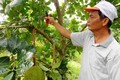 Thương binh Trần Văn Hiền góp sức xây dựng nông thôn mới Cẩm Sơn