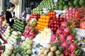 2017年前7个月越南蔬果出口额超过20亿美元