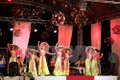 越南参加2017年世界民间文化联欢会