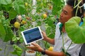 Kinh nghiệm ứng dụng công nghệ quốc tế vào nông nghiệp Việt Nam